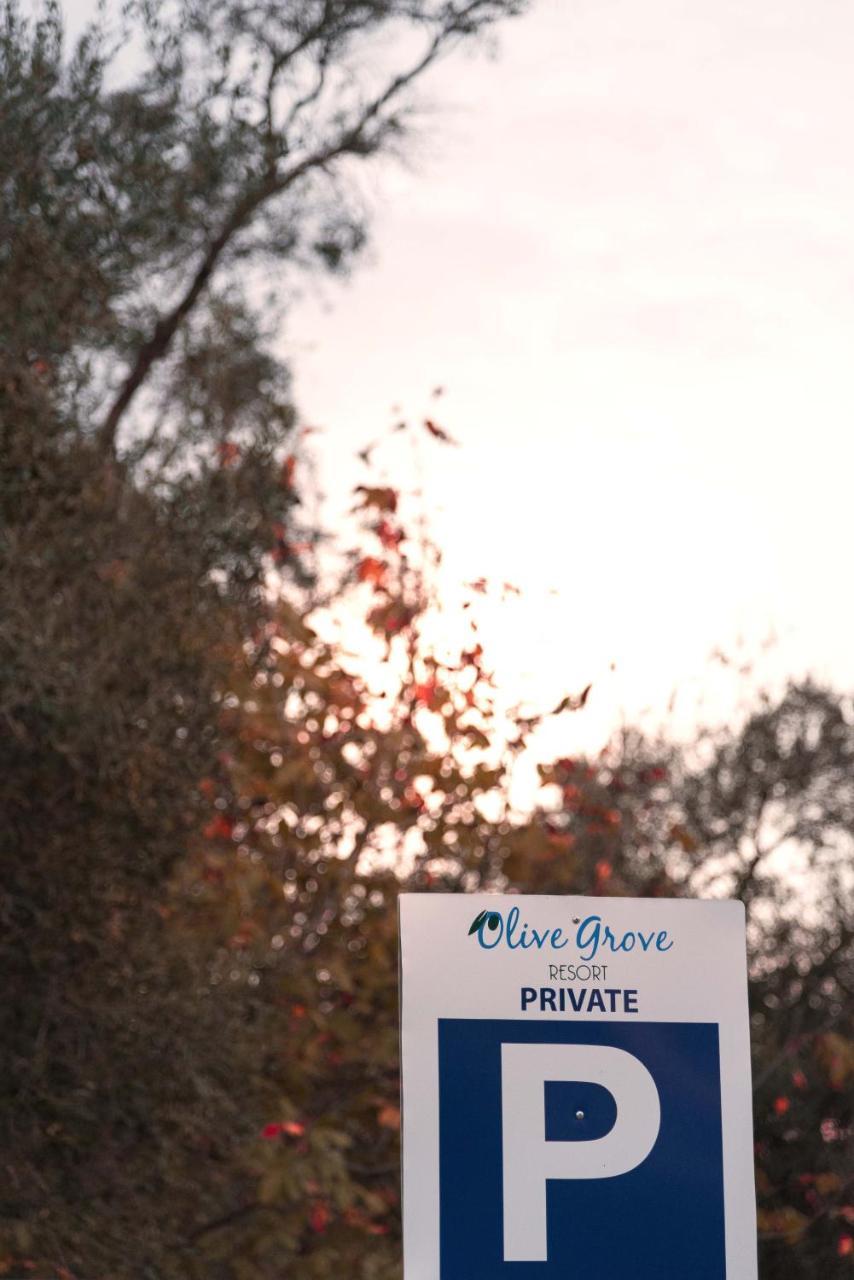 Olive Grove Resort Kávosz Kültér fotó